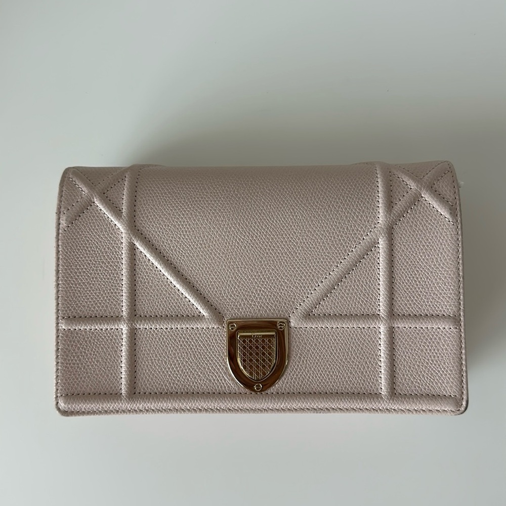 Dior wallet on chain. 
Pink